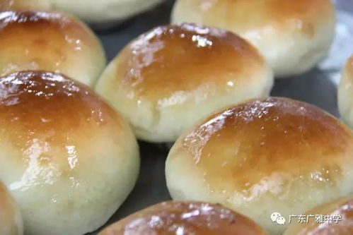 廣雅食堂榮獲食品安全A級認(rèn)定并開展豐富歌舞活動，打造安全與活力校園環(huán)境